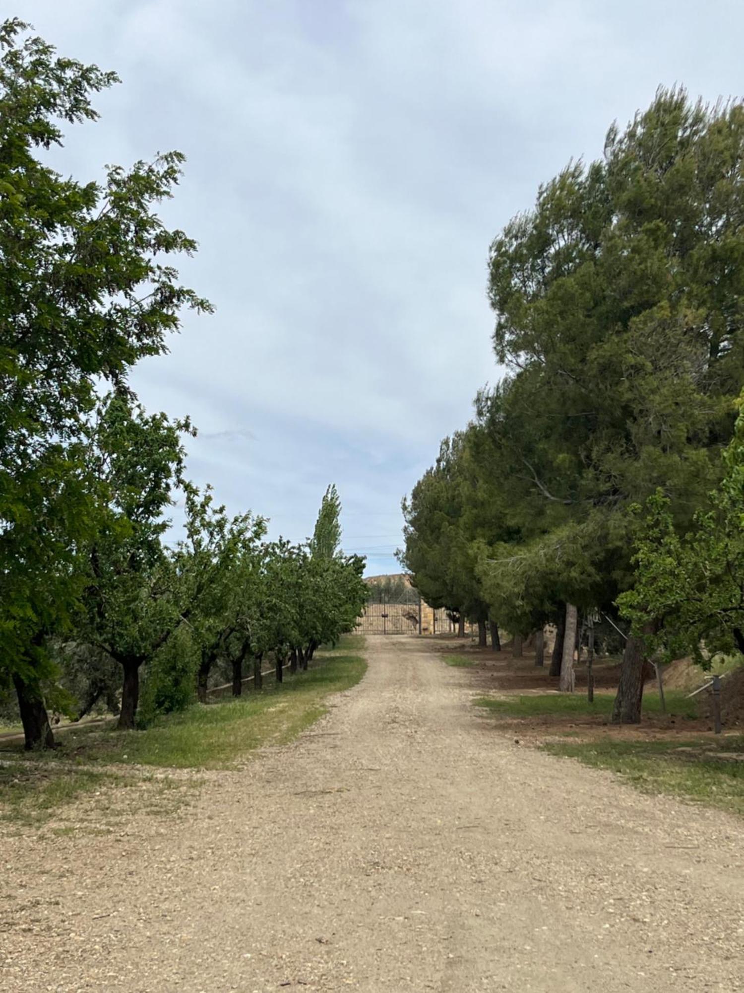 Cortijo Don Meliton Villa Гуадикс Екстериор снимка